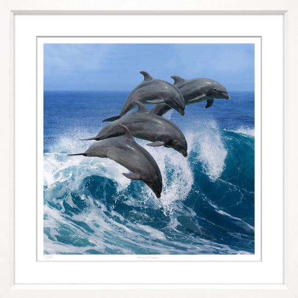 Ocean Dolphins - Hamptons Furniture, Gifts, Modern & Traditional