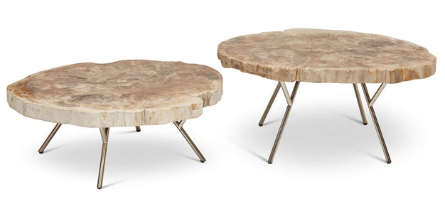 Solid petrified Wood Coffee Tables, sold as a set of 2