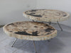 Solid petrified Wood Coffee Tables, sold as a set of 2