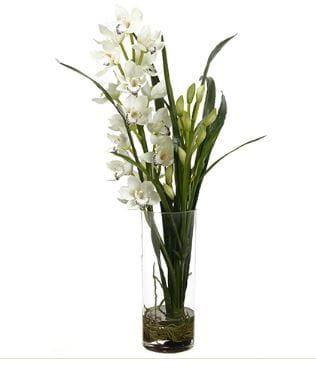 Faux White Cymbidium in Glass Vase - Hamptons Furniture, Gifts, Modern & Traditional