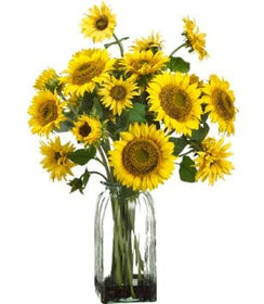 Faux Sunflowers in Glass Vase Yellow - Hamptons Furniture, Gifts, Modern & Traditional