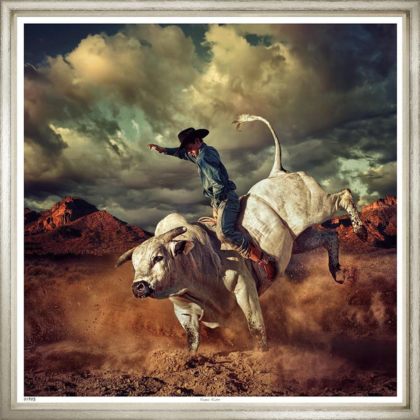 Large Glicee Print of a Rodeo Rider on Large White Bull
