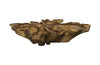Magnificent Teak Root Coffee Table, 60" x 60"