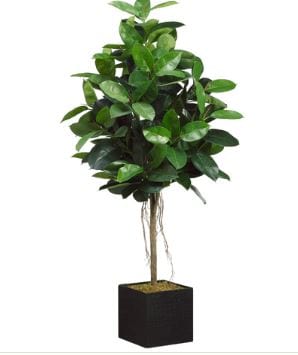 Faux Rubber Tree in Bamboo Container - Hamptons Furniture, Gifts, Modern & Traditional
