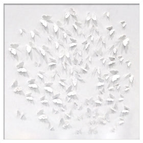 Silver Butterfly Shadowbox