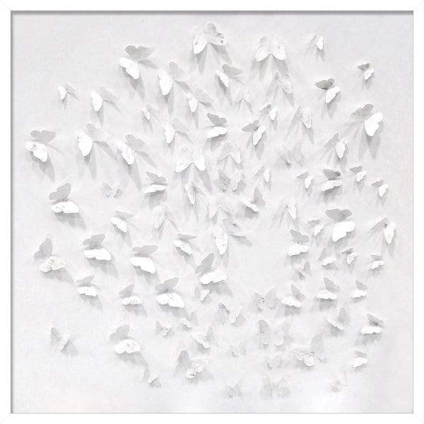 Silver Butterfly Shadowbox