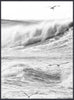 Glicee Print of Rough Seas and Birds on Canvas - Hamptons Furniture, Gifts, Modern & Traditional