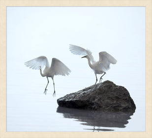 A Pair of Cranes - Hamptons Furniture, Gifts, Modern & Traditional