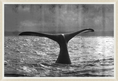 Whale's Tale - Hamptons Furniture, Gifts, Modern & Traditional