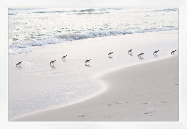 Print of Sanderlings on the Beach - Hamptons Furniture, Gifts, Modern & Traditional