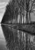 French Canal Refection Photograph in Black and White in Two Parts